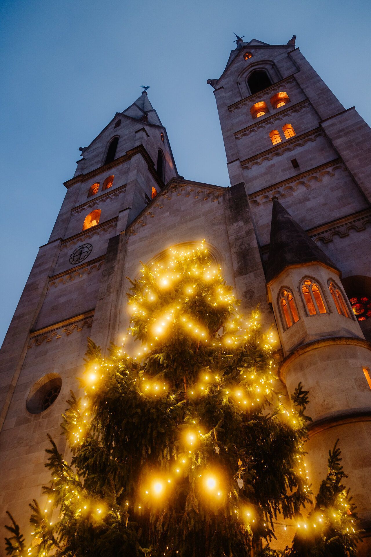 Christbäume Stadtgebiet - (c) Busy Shutters_5420