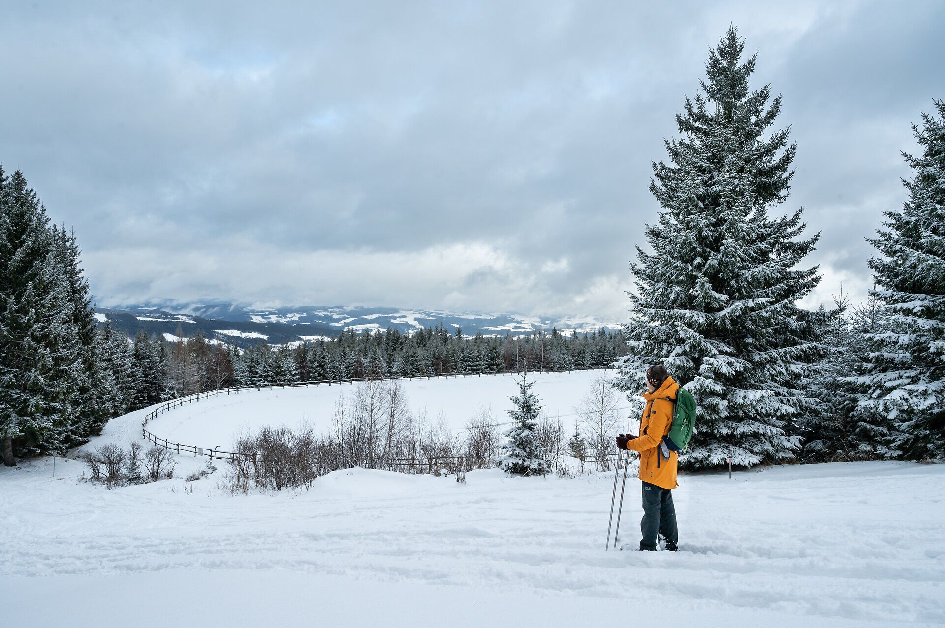 In der winterlichen Landschaft der Buckligen Welt entfaltet sich eine zauberhafte Stille, während die schneebedeckten Bäume sanft im Wind wiegen. Ein Wanderer genießt die frische, klare Luft und die atemberaubende Aussicht auf die verschneiten Wiener Alpen, während er mit Schneeschuhen durch die unberührte Natur schreitet.
