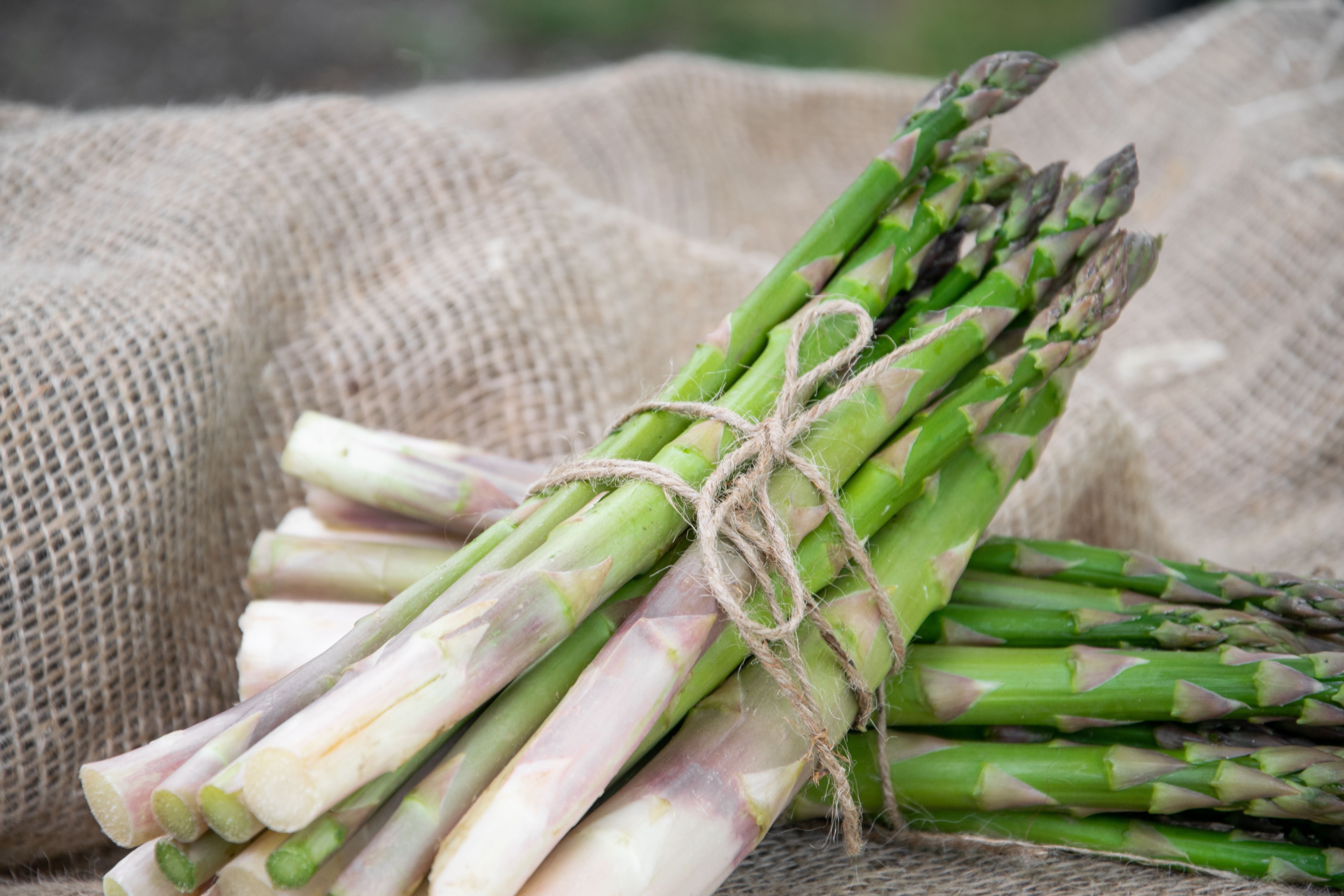 Zwei Bündel grüner Spargel, mit Schnur gebunden, auf braunem Jutestoff liegend.