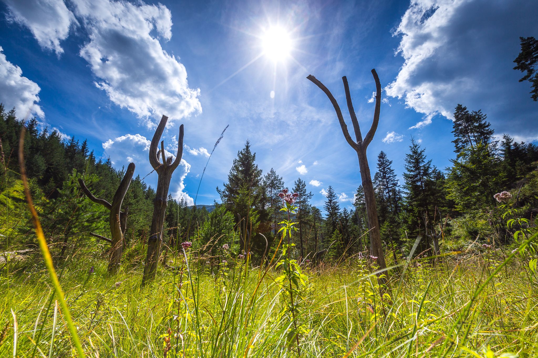 Themenstation mit Holzfiguren 
