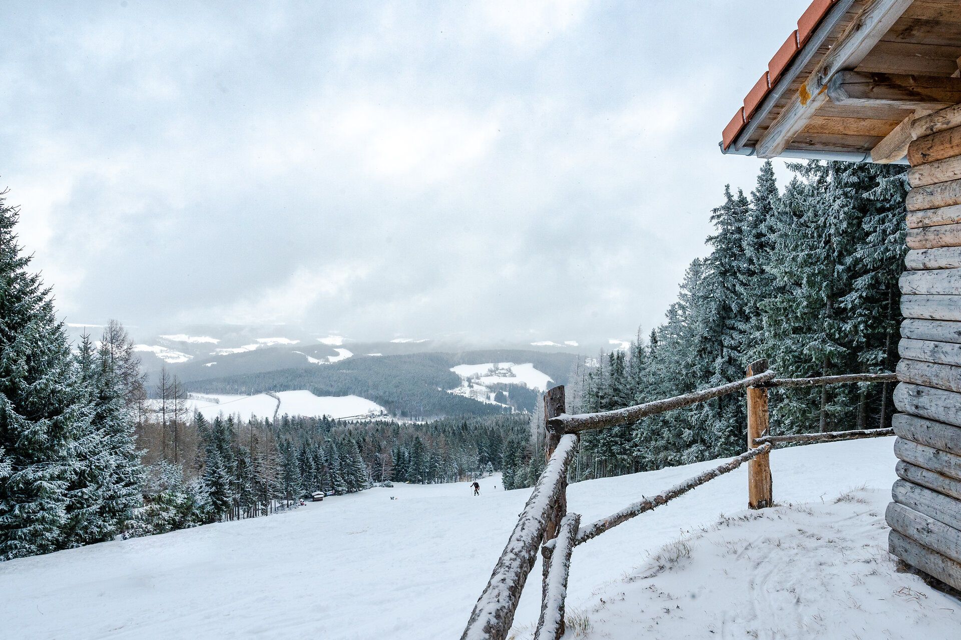 Die verschneite Landschaft lädt zu einem unvergesslichen Schneeschuhabenteuer ein. Umgeben von majestätischen Tannen und sanften Hügeln, erleben Besucher die Ruhe und Schönheit der Buckligen Welt im Winter. Der frische Schnee glitzert im Licht und verspricht unvergessliche Erlebnisse in der Natur.