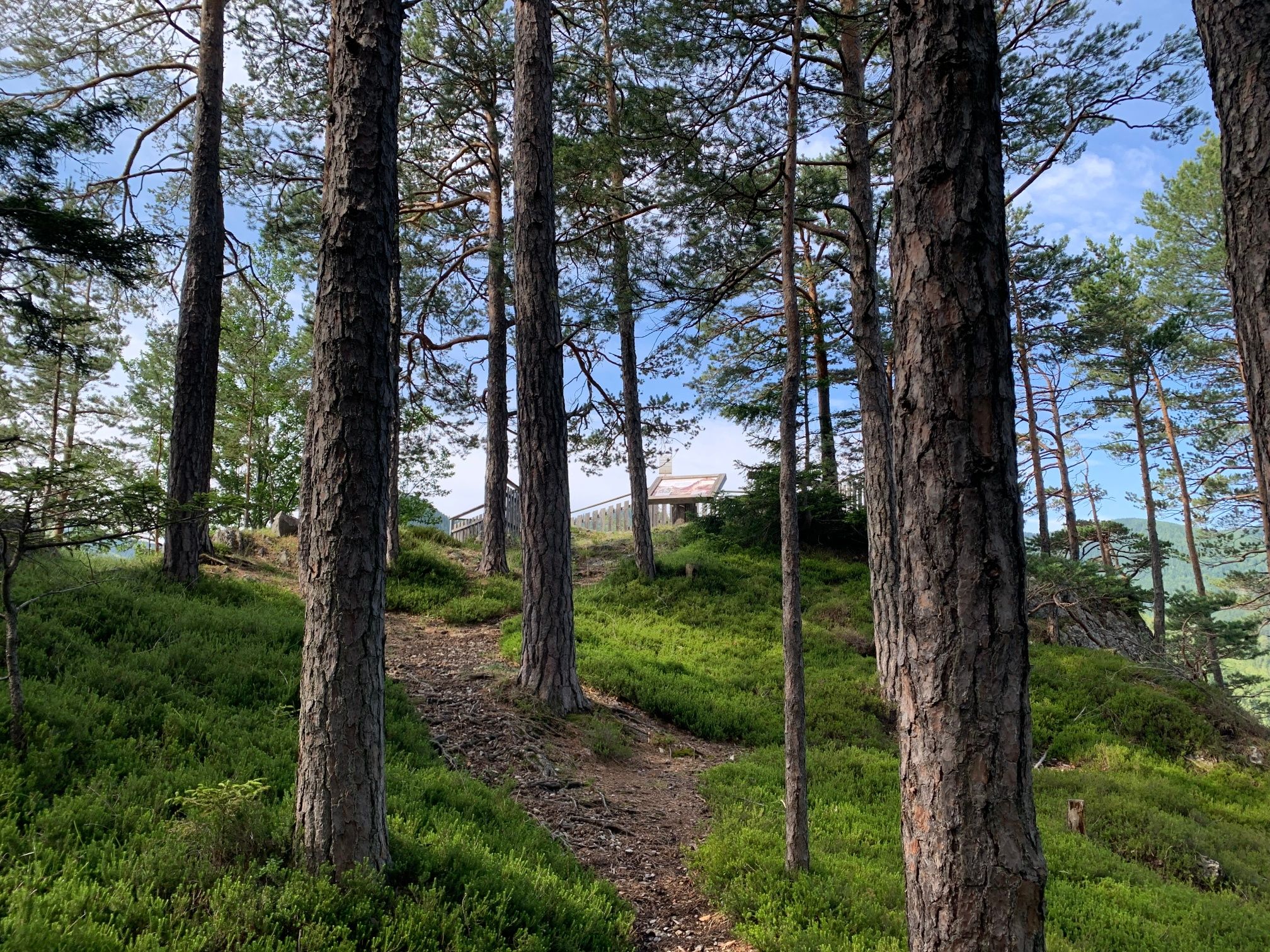 Weg zum Aussichtspunkt