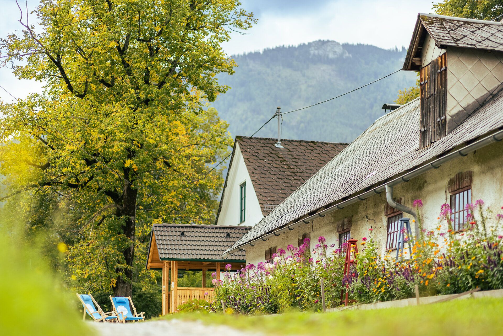Der Höblinghof in Schwarzau im Gebirge liegt inmitten der Berge. Im Garten wird Gemüse angebaut, Ein Liegestuhl steht inmitten der Wiese und vor dem Haus, der zum Verweilen einlädt.
