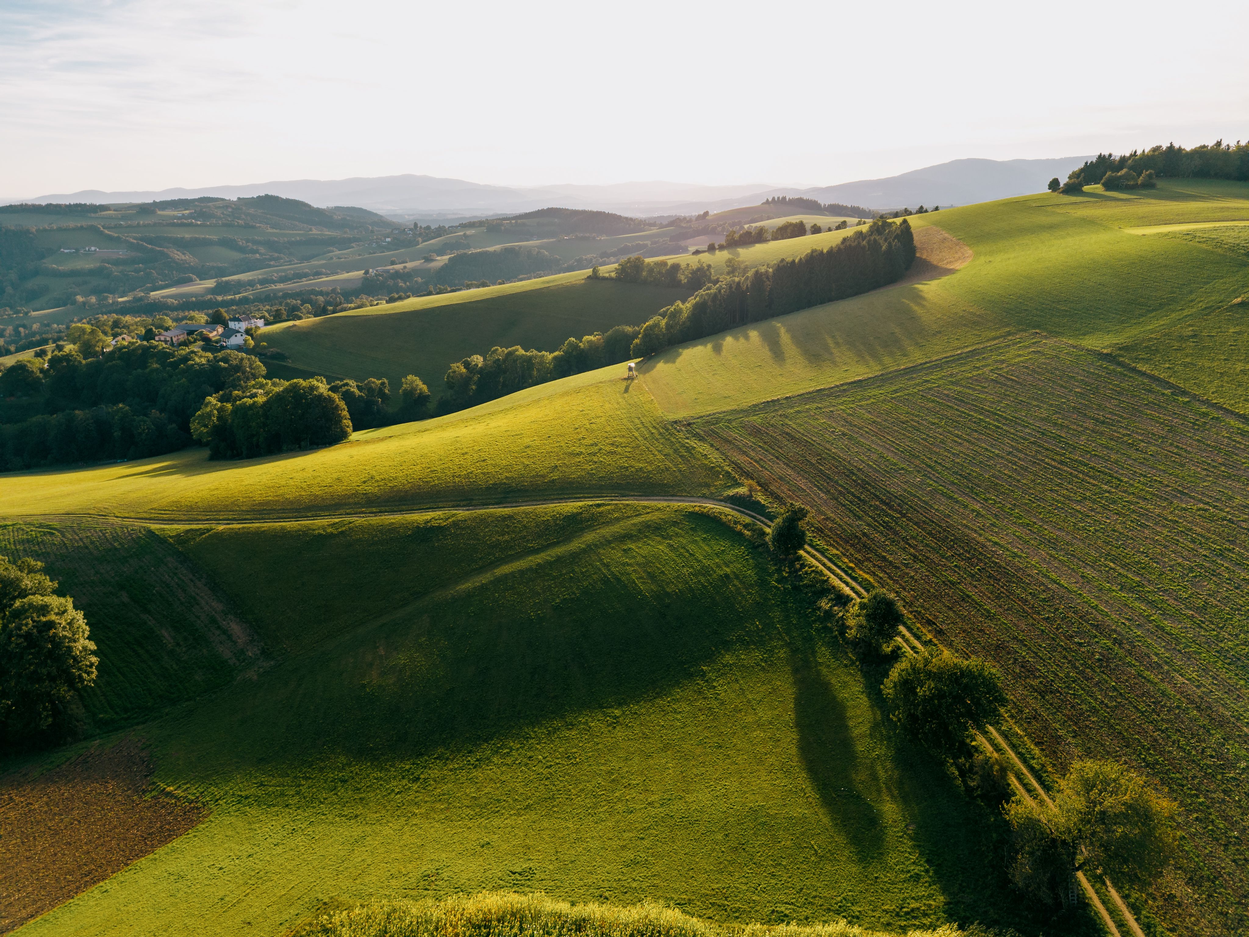 Grüne Landschaft mit Feldern, Bäumen und Hügeln.