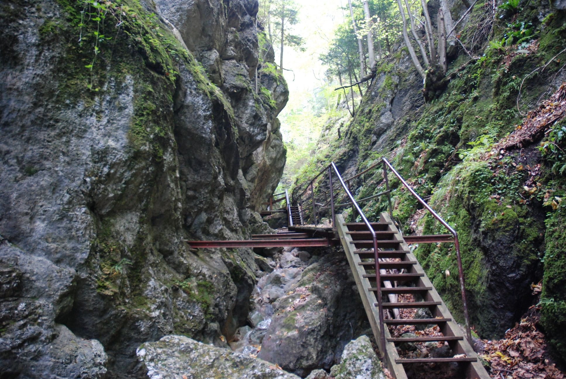 In the gorge