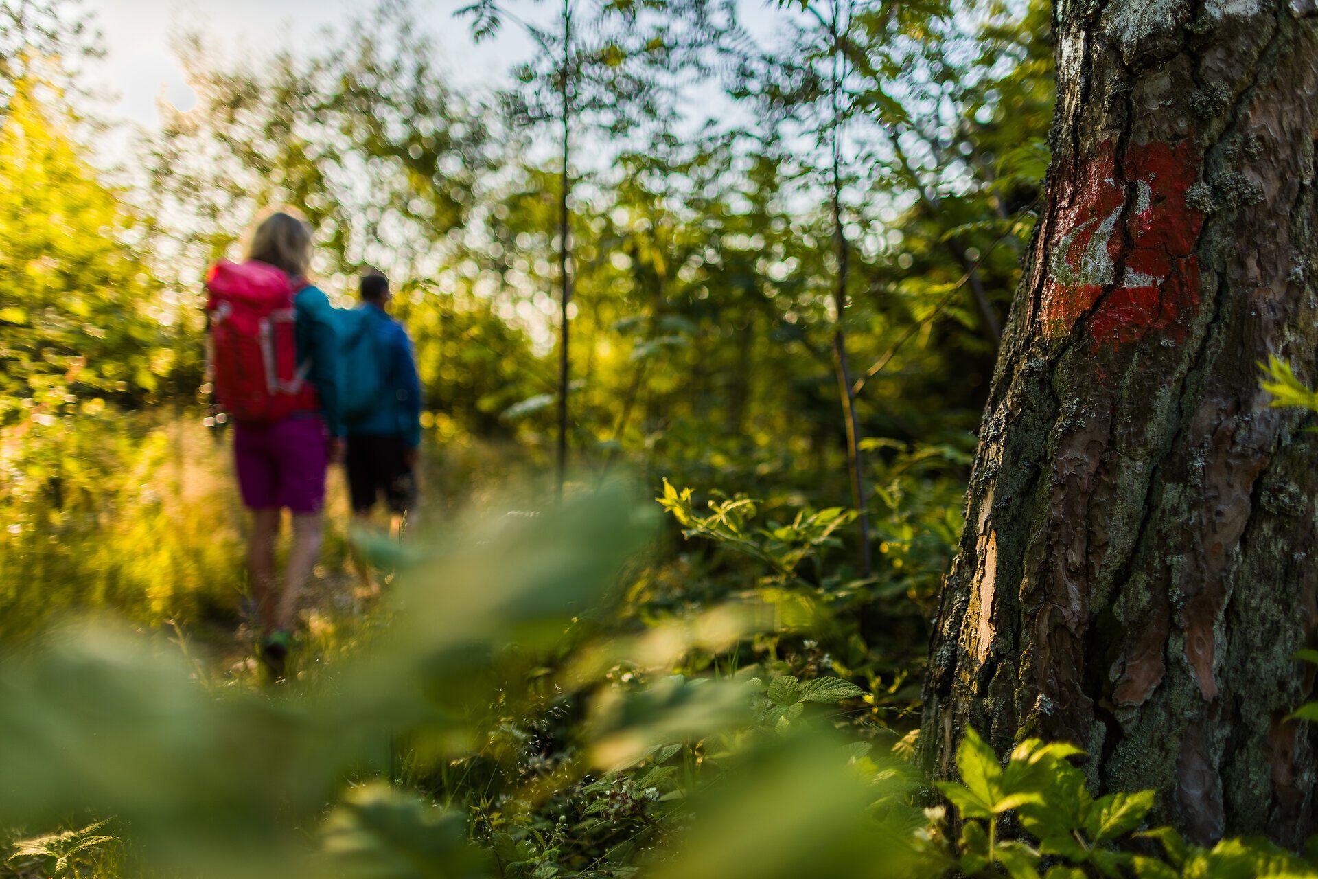 Zwei Wanderer kommen auf dem Weg zum Hutwisch an einer Markierung des Alpannonia Weitwanderweges vorbei.
