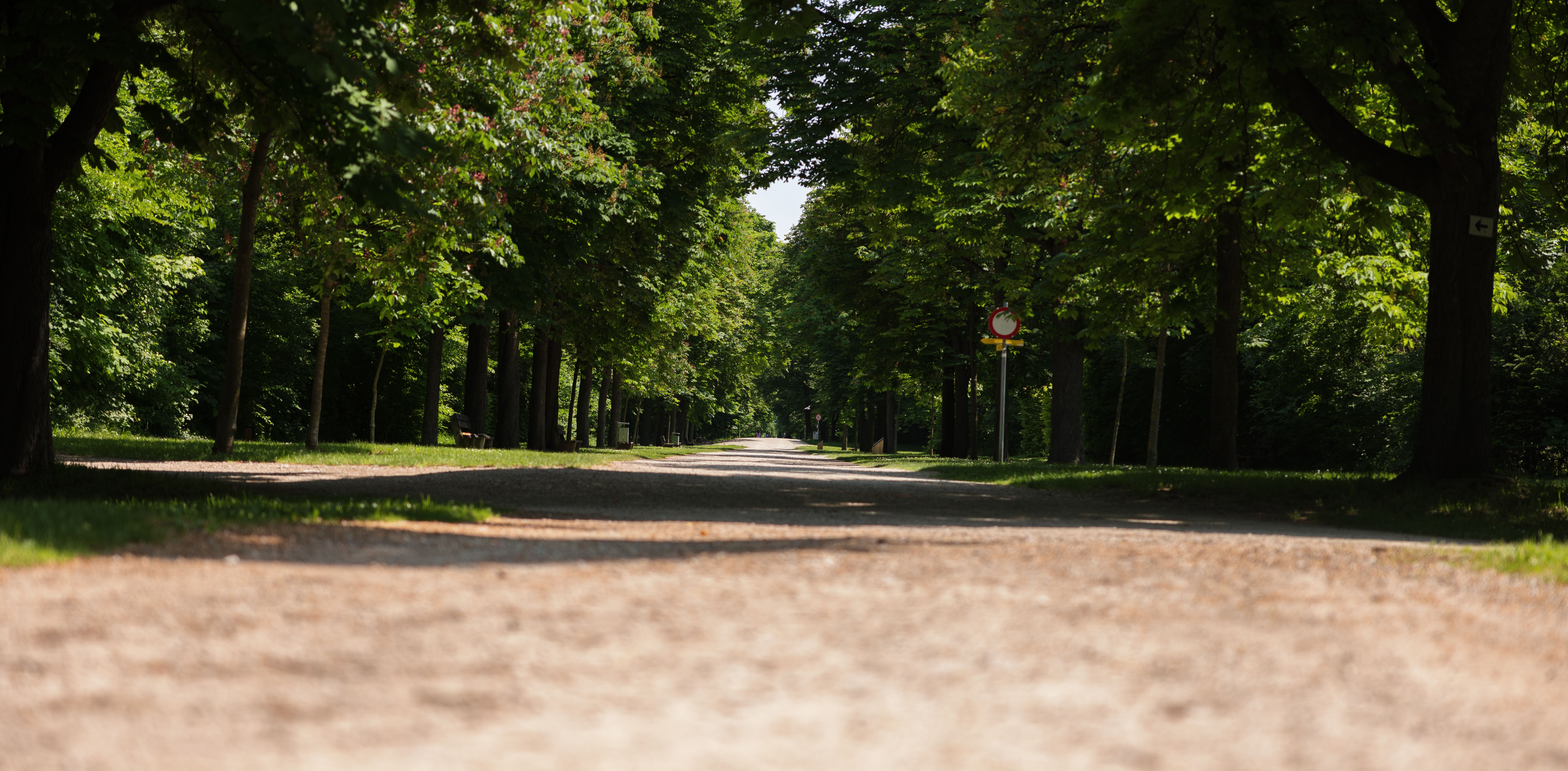 Waldweg durch den Akademiepark 