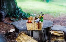 Ein Geschenkkorb mit regionalen Lebensmitteln auf einem Holzstumpf.