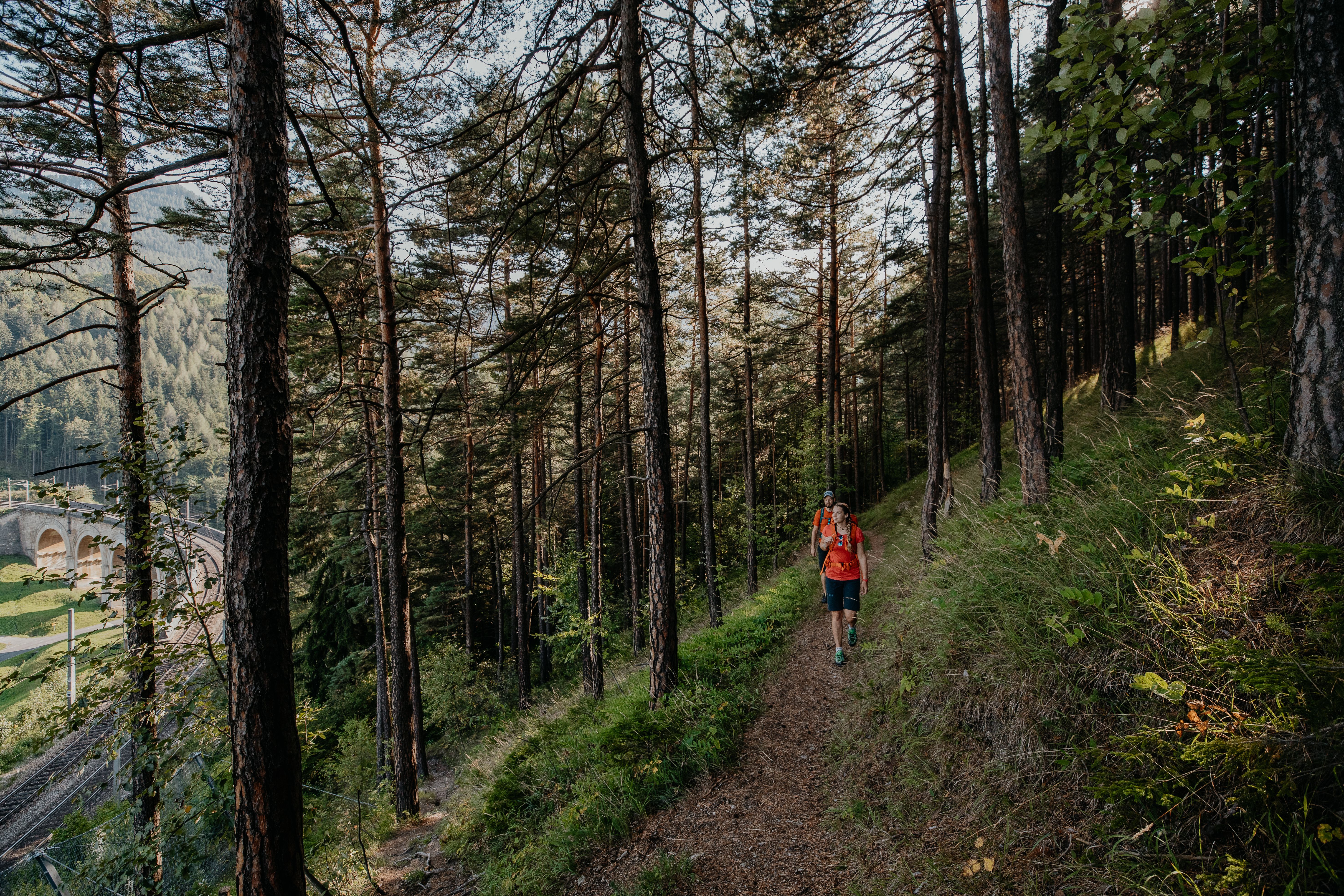 Ein Wanderer blickt auf einen Zug, der gerade über ein Viadukt fährt.
