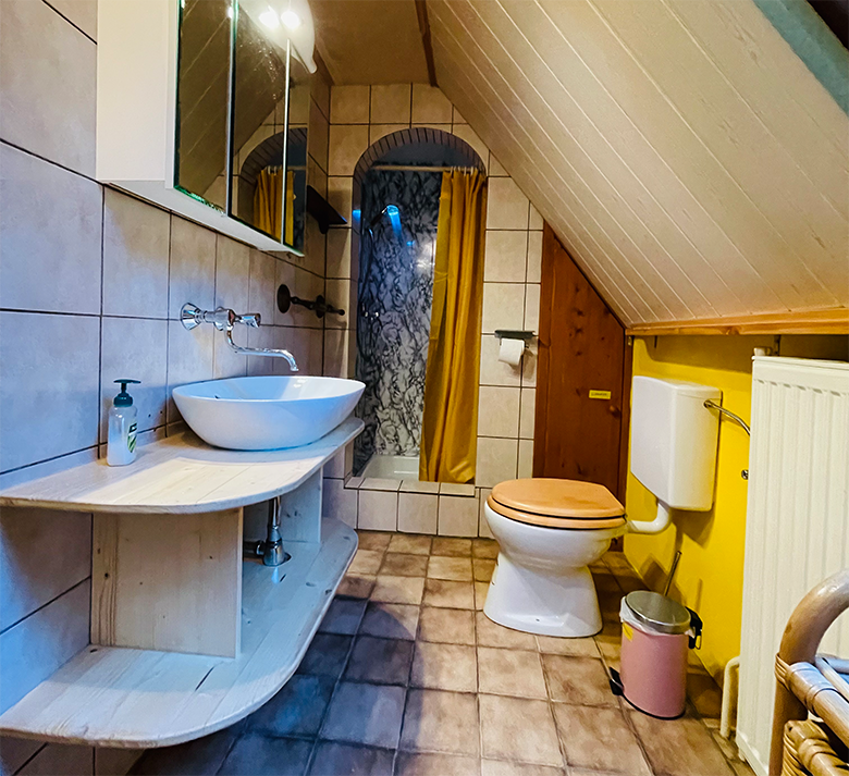 Small bathroom with washbasin, toilet and shower under a sloping roof.
