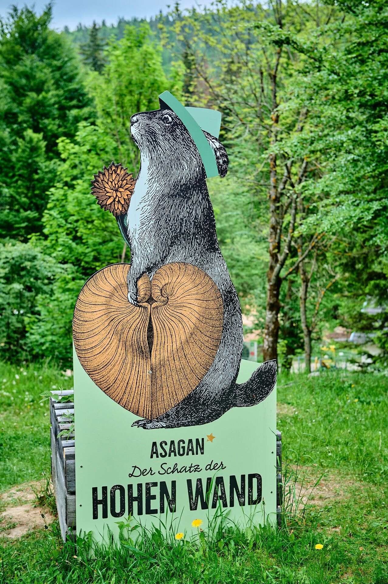 Ein fröhlicher Murmeltier mit einem Hut und einer Sonnenblume in der Hand steht stolz auf einem Baumstamm. Umgeben von der üppigen Natur des Naturparks Hohe Wand, strahlt die Szenerie eine einladende Atmosphäre aus, die Wanderer und Naturliebhaber anzieht. Hier, wo die Berge und die Schönheit der Landschaft aufeinandertreffen, beginnt das Abenteuer.