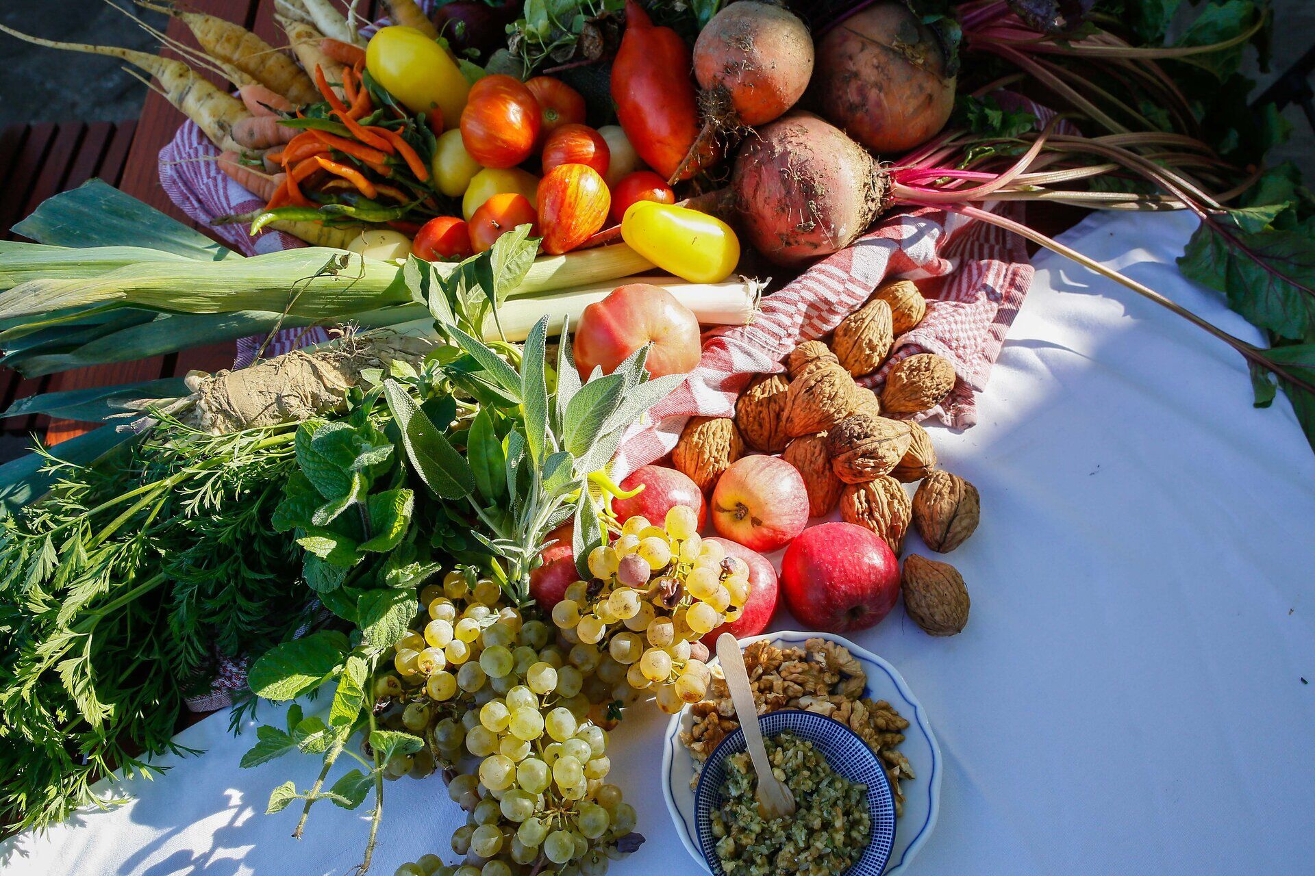 Ein üppiger Tisch ist mit frischen, bunten Gemüse- und Obstsorten gedeckt, die die Fülle der Natur widerspiegeln. Die leuchtenden Farben der Äpfel, Trauben und Wurzeln laden dazu ein, die regionalen Köstlichkeiten zu genießen und die Aromen des Bioheurigen zu entdecken.