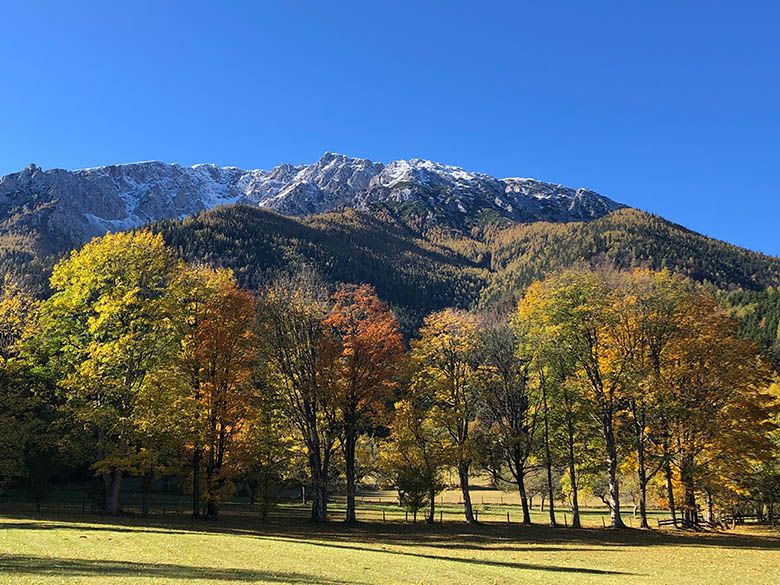 Autumn landscape with colorful trees and snow-covered mountains in the background.