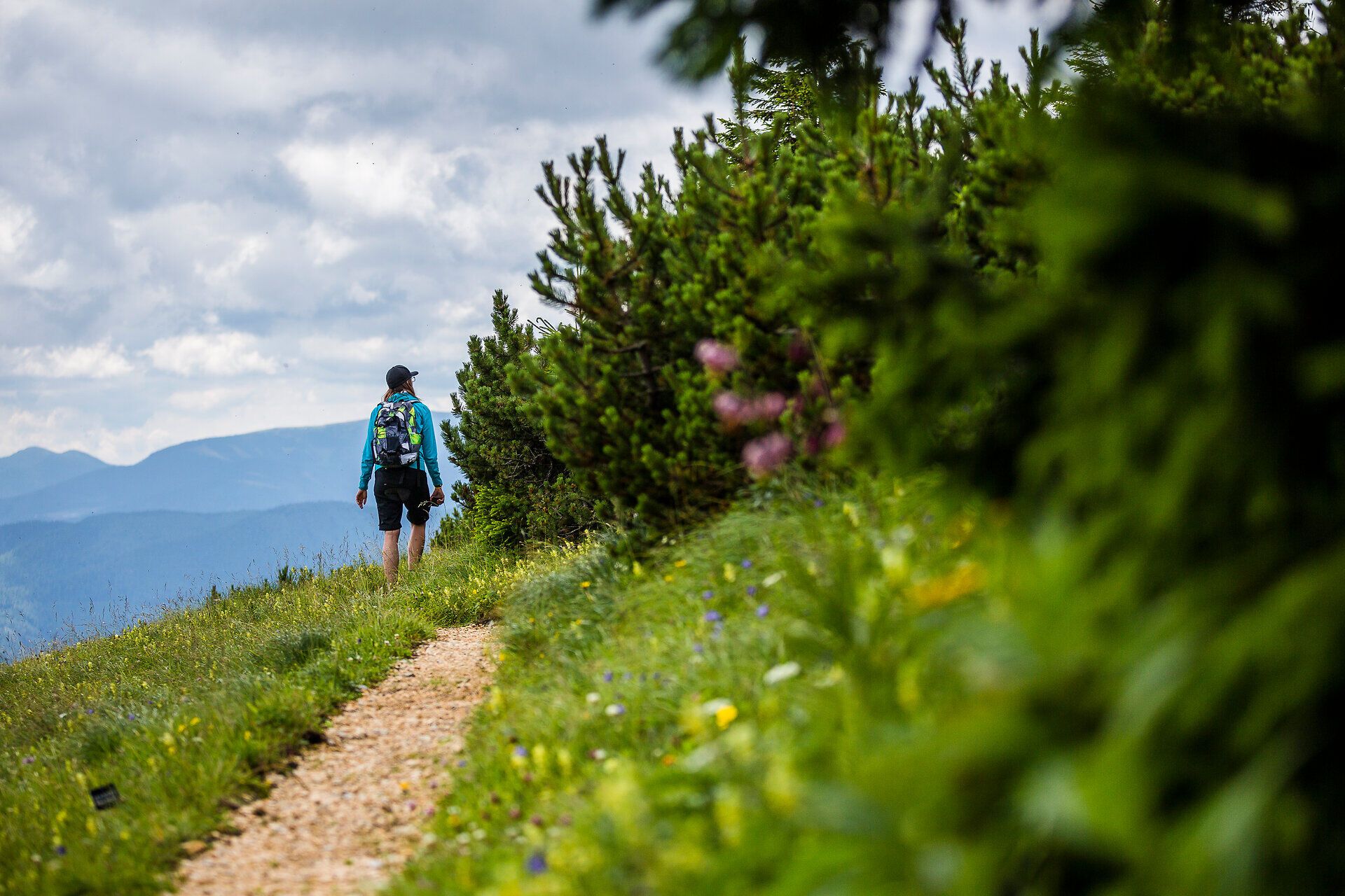 Wandererlebnis auf der Rax Wiener Alpen in Niederösterreich, Region: Semmering und Rax