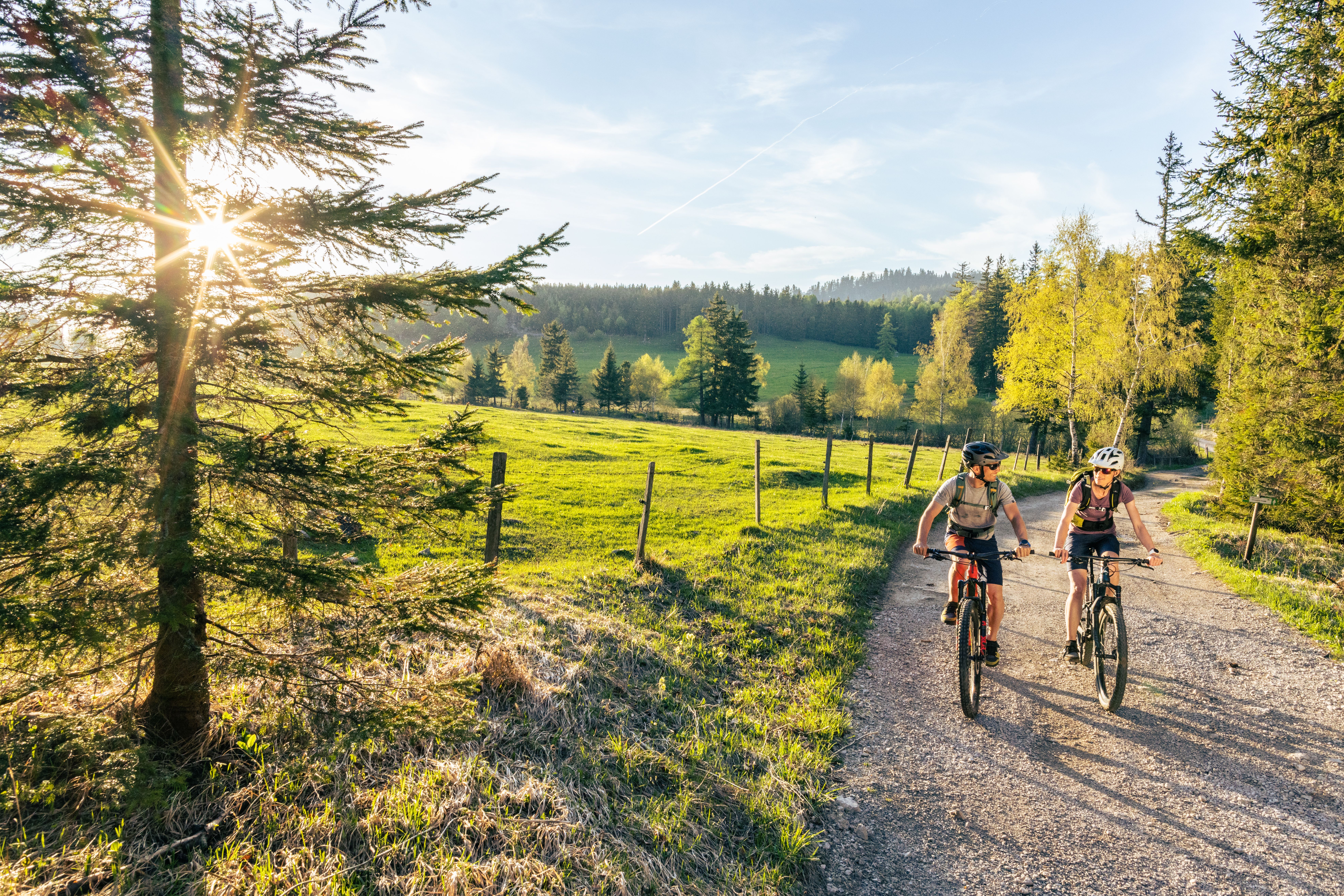 Zwei Radfahrer am Weg in grüner Landschaft 