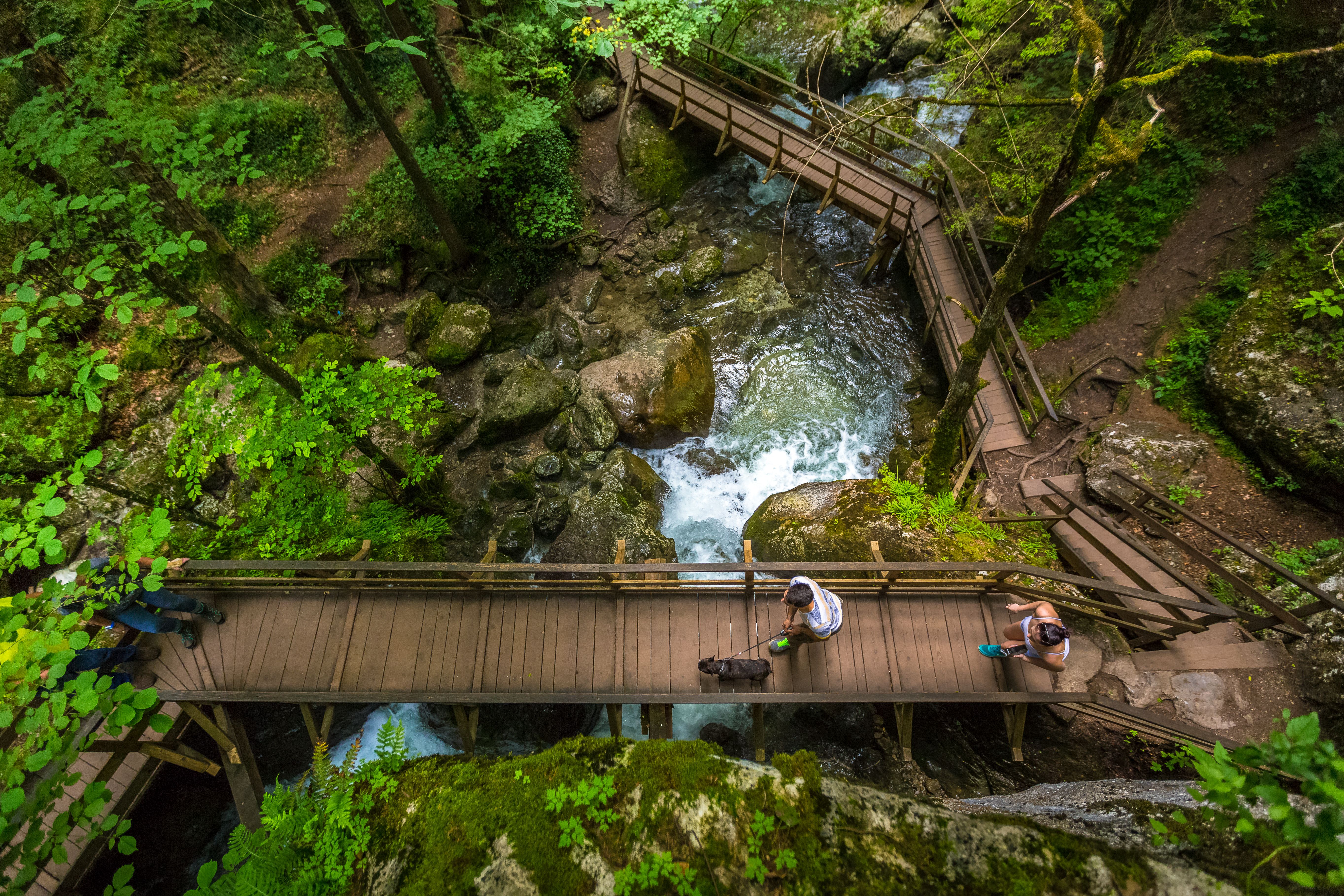 Holzstege von Oben fotografiert mit Wasserlauf 