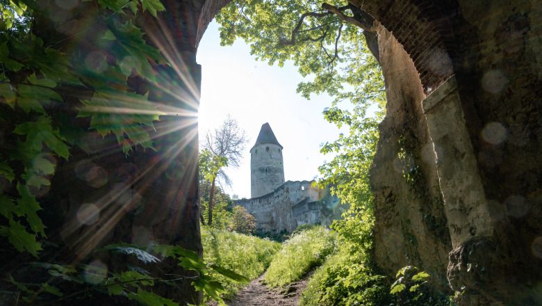 Blick durch ein Burgtor auf die Burg Seebenstein mit Sonnenstrahlen und grünem Laub.