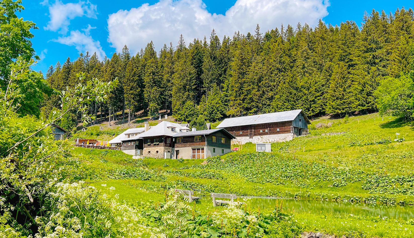 Almhütte Steyersberger Schwaig in grüner Landschaft mit Wald im Hintergrund.