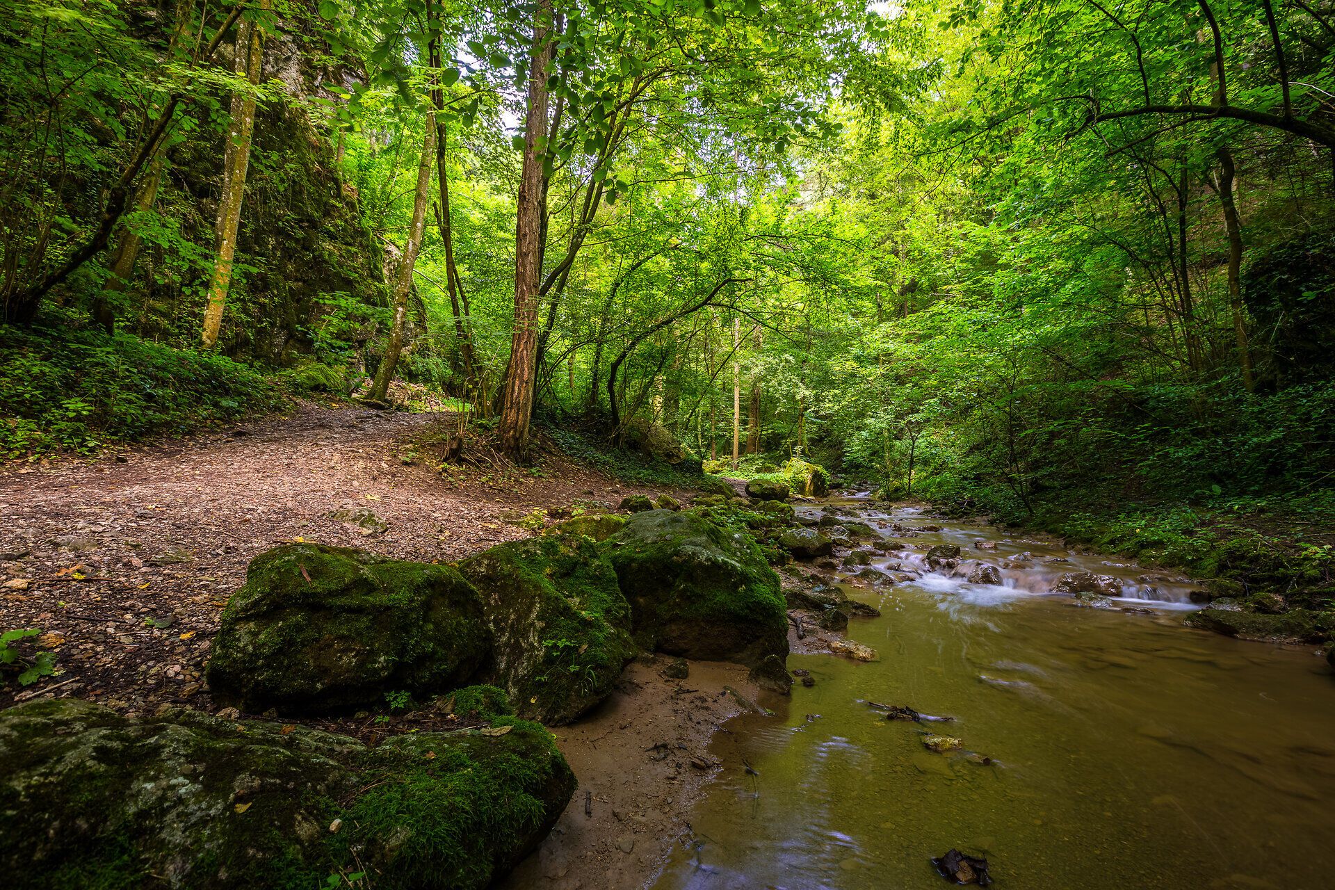 DIe Johannesbachklamm in Würflach ist auch an heißen Sommertagen ein ideales Ausflugsziel.