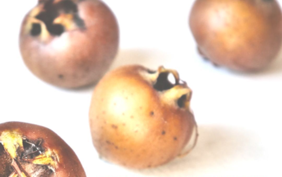 Mispeln vor weißem Hintergrund