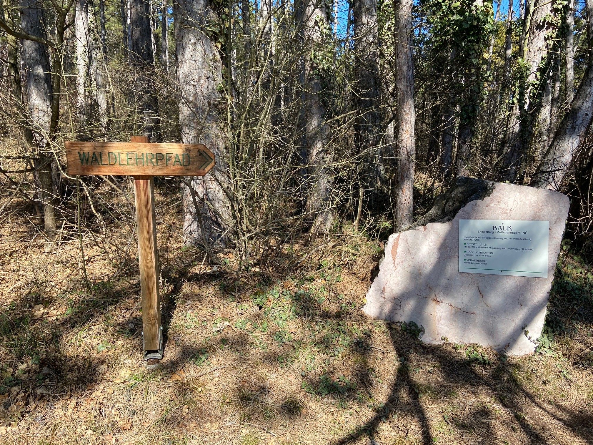 Holzschild mit der Aufschrift 'Waldlehrpfad' und ein großer Stein mit Infotafel im Wald.