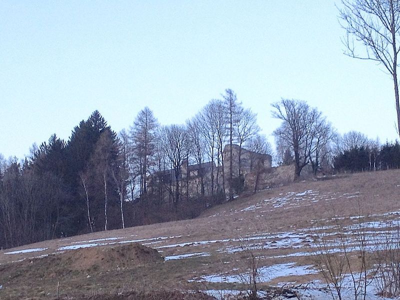 Ruine der Burg Thomasberg auf einem Hügel, umgeben von Bäumen.