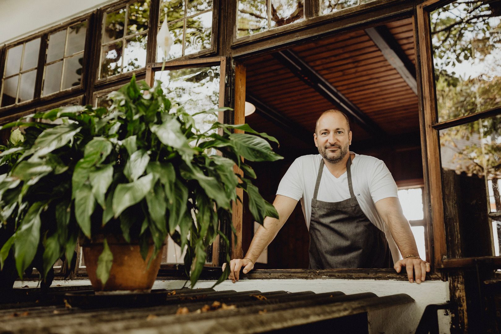 Ein Mann in Schürze lehnt sich aus einem Fenster, im Vordergrund eine Pflanze.