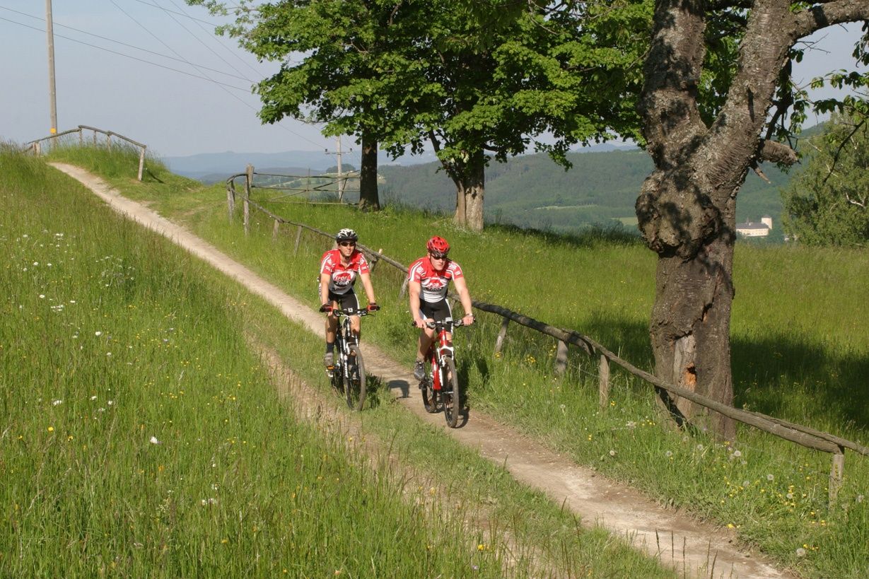 MTB Vienna Alps