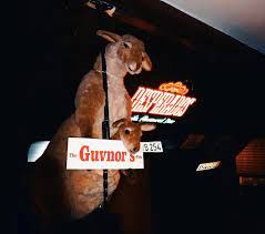 Kangaroo with sign "The Guvnor's Pub" in front of an illuminated pub sign.