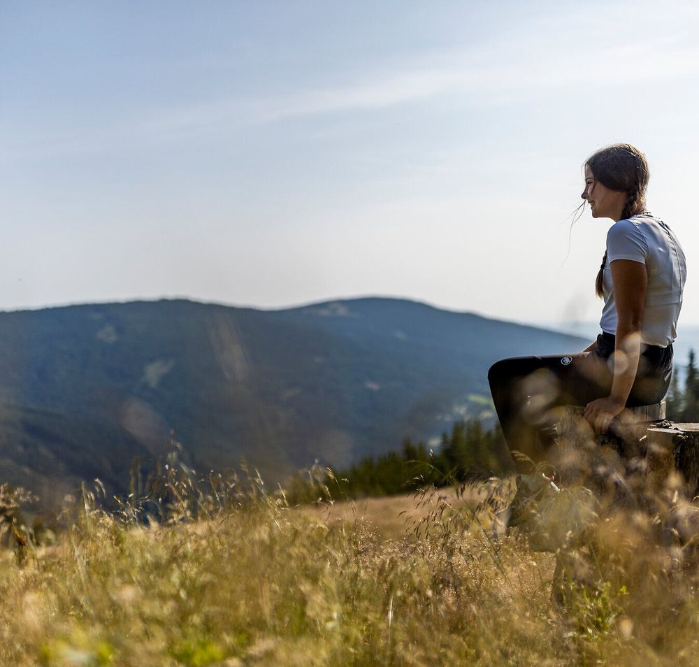 Eine Person sitzt auf einem Baumstumpf und genießt den Panoramablick über die Berglandschaft der Schwaigen am Wechsel.