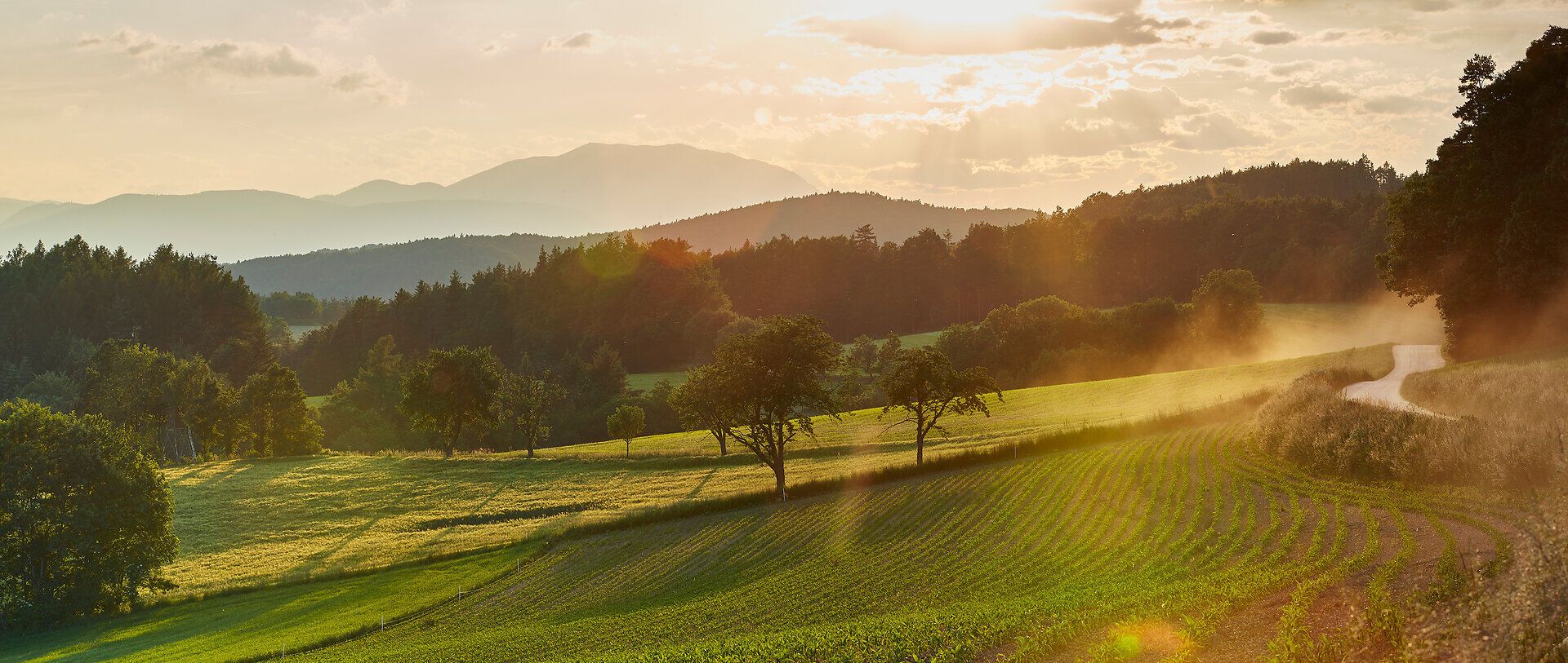 Die sanften Hügel der Buckligen Welt erstrahlen im warmen Licht der Abendsonne, während die Natur in voller Blüte steht. Grüne Wiesen und majestätische Bäume laden zu einem entspannenden Spaziergang ein und versprechen unvergessliche Ausblicke auf die umliegenden Berge.
