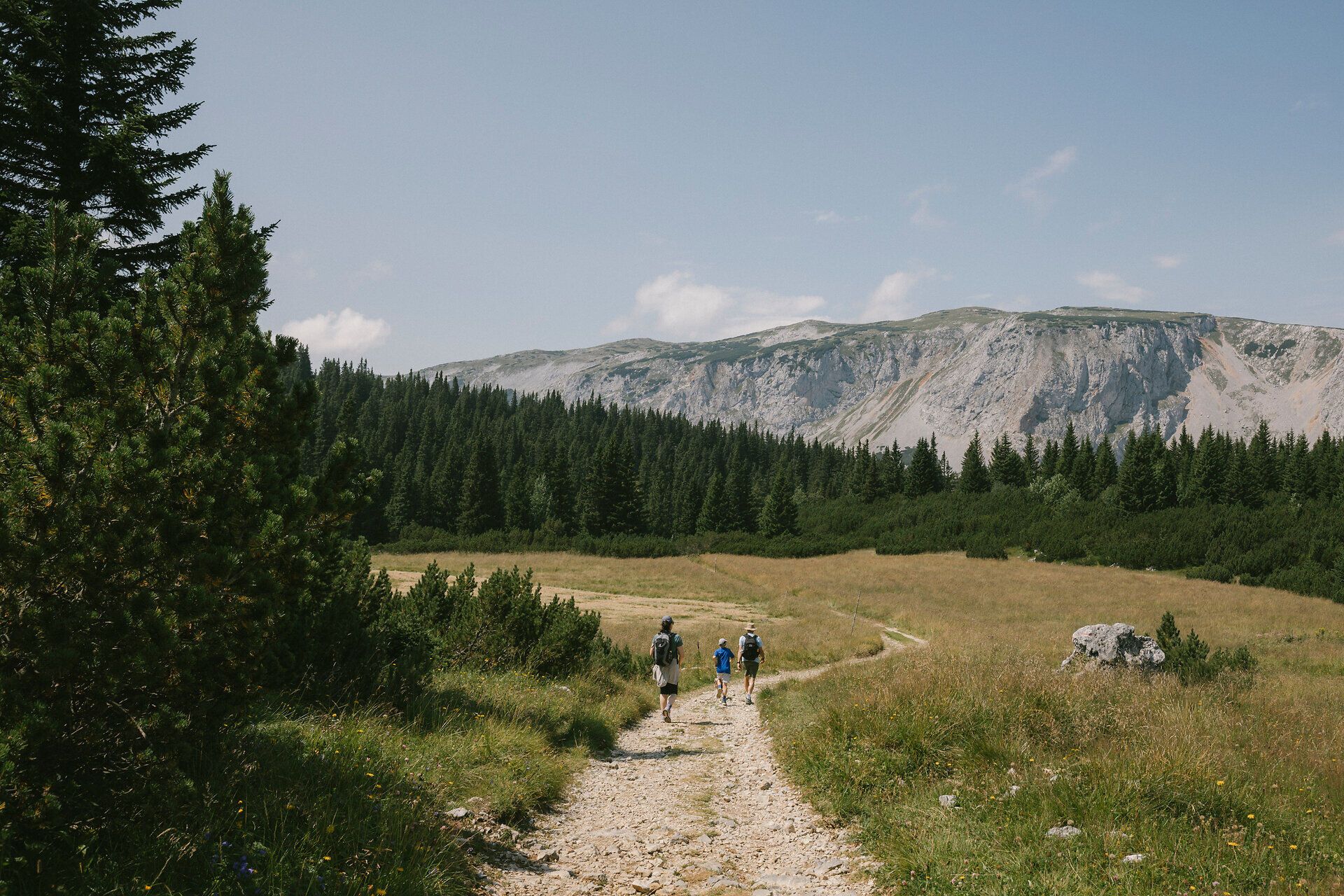 Wandernde auf einem Weg durch die alpine Landschaft der Rax