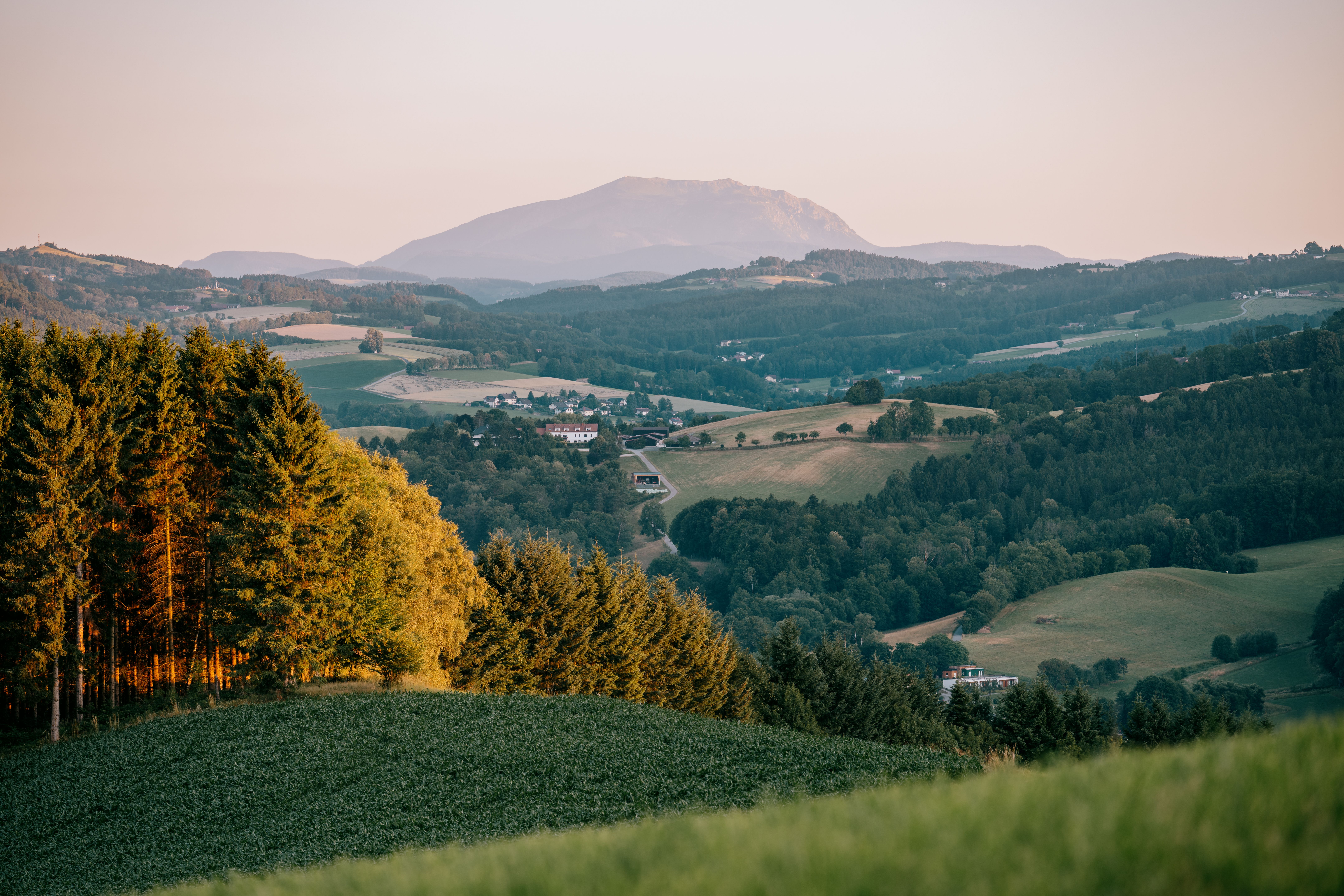 Eine grüne Landschaft mit Hügeln, Bäumen und Wäldern und einem Berg im Hintergrund.