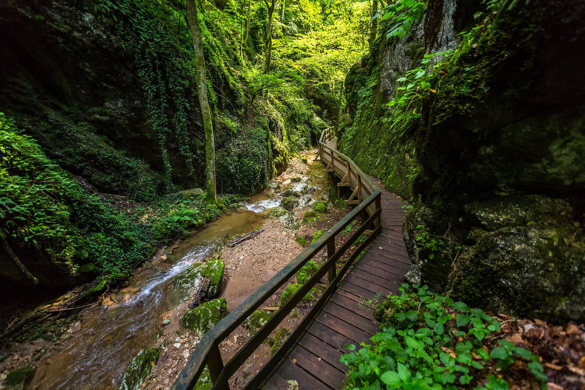 DIe Johannesbachklamm in Würflach ist auch an heißen Sommertagen ein ideales Ausflugsziel.