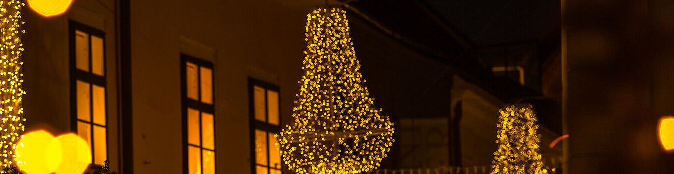 Adventmarkt vor dem Dom in Wiener Neustadt
