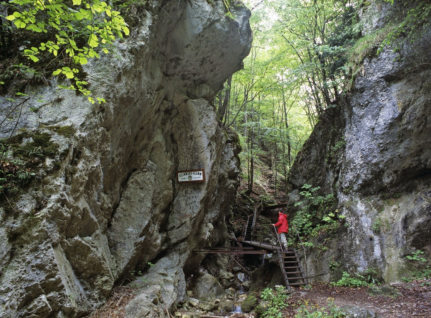 Start of the Steinwandklamm gorge