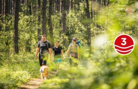 Prehliadka borovicov&eacute;ho lesa 3, &copy; Wiener Alpen in Nieder&ouml;sterreich - Schneeberg Hohe Wand