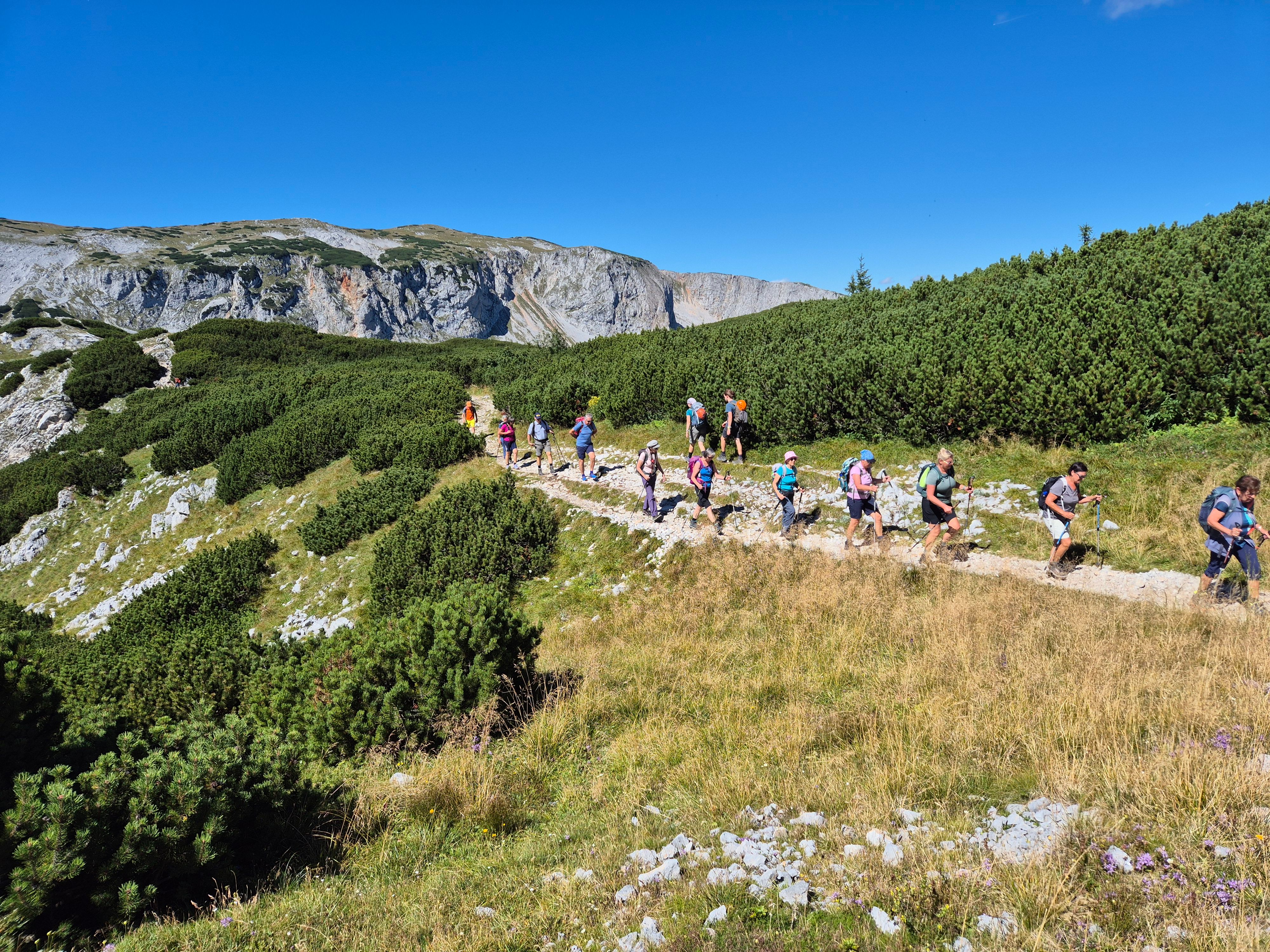 Gruppe von Wanderern auf einem Bergpfad mit grünen Büschen und Felsen im Hintergrund.