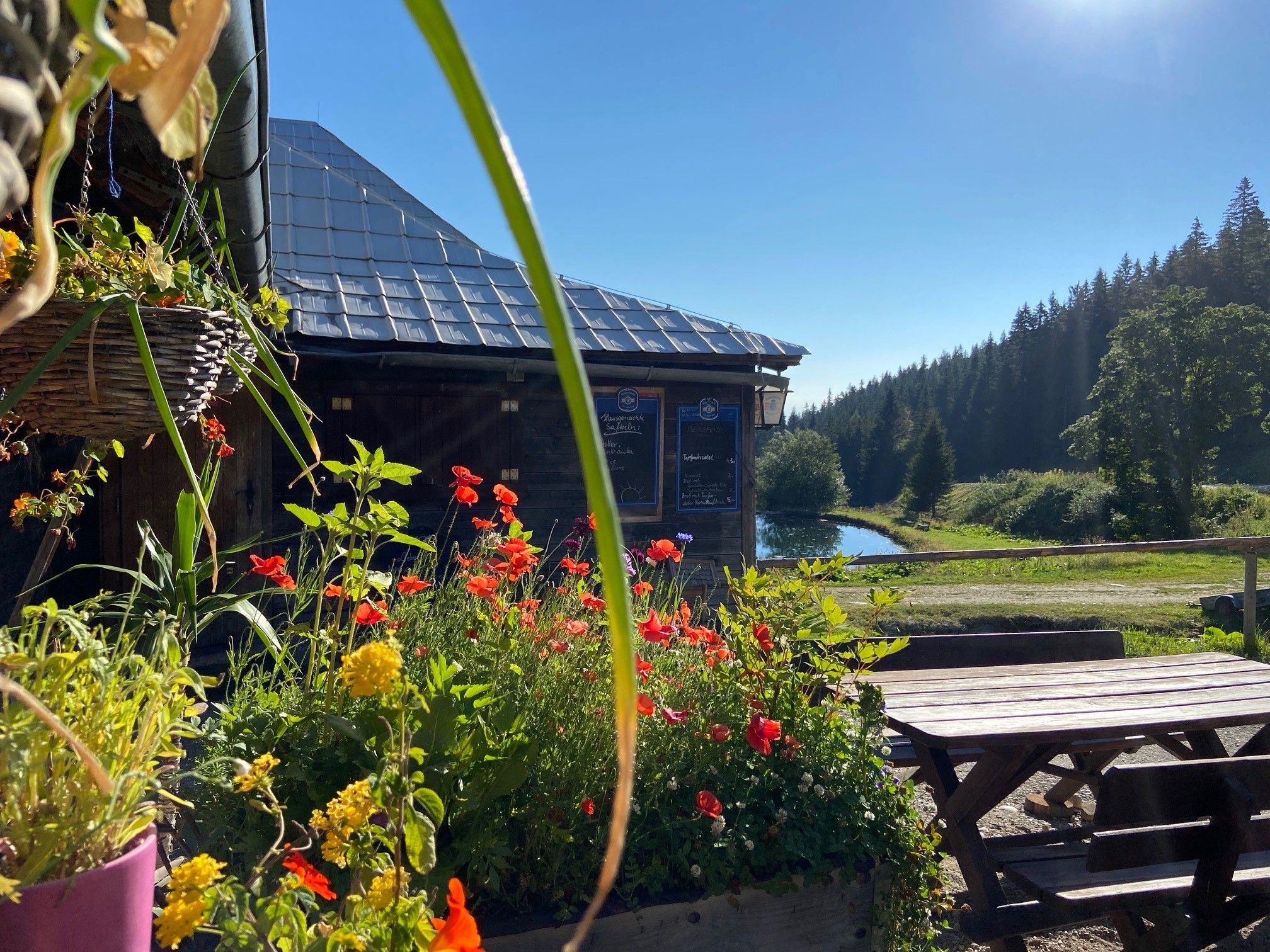Blumen vor einer Berghütte mit Teich und Wald im Hintergrund.