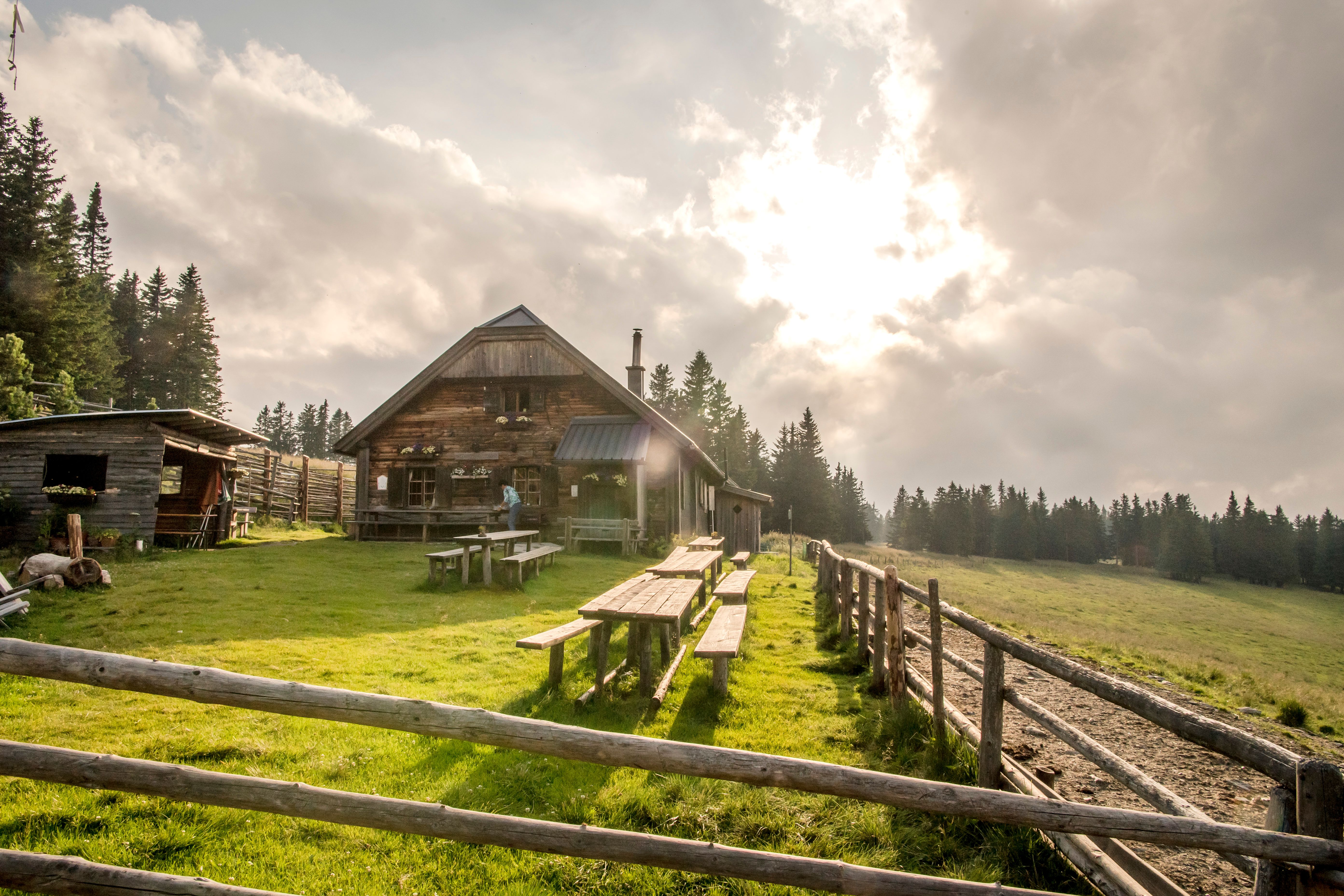 Almhütte mit Holztischen auf einer Wiese, umgeben von Wald, unter bewölktem Himmel.