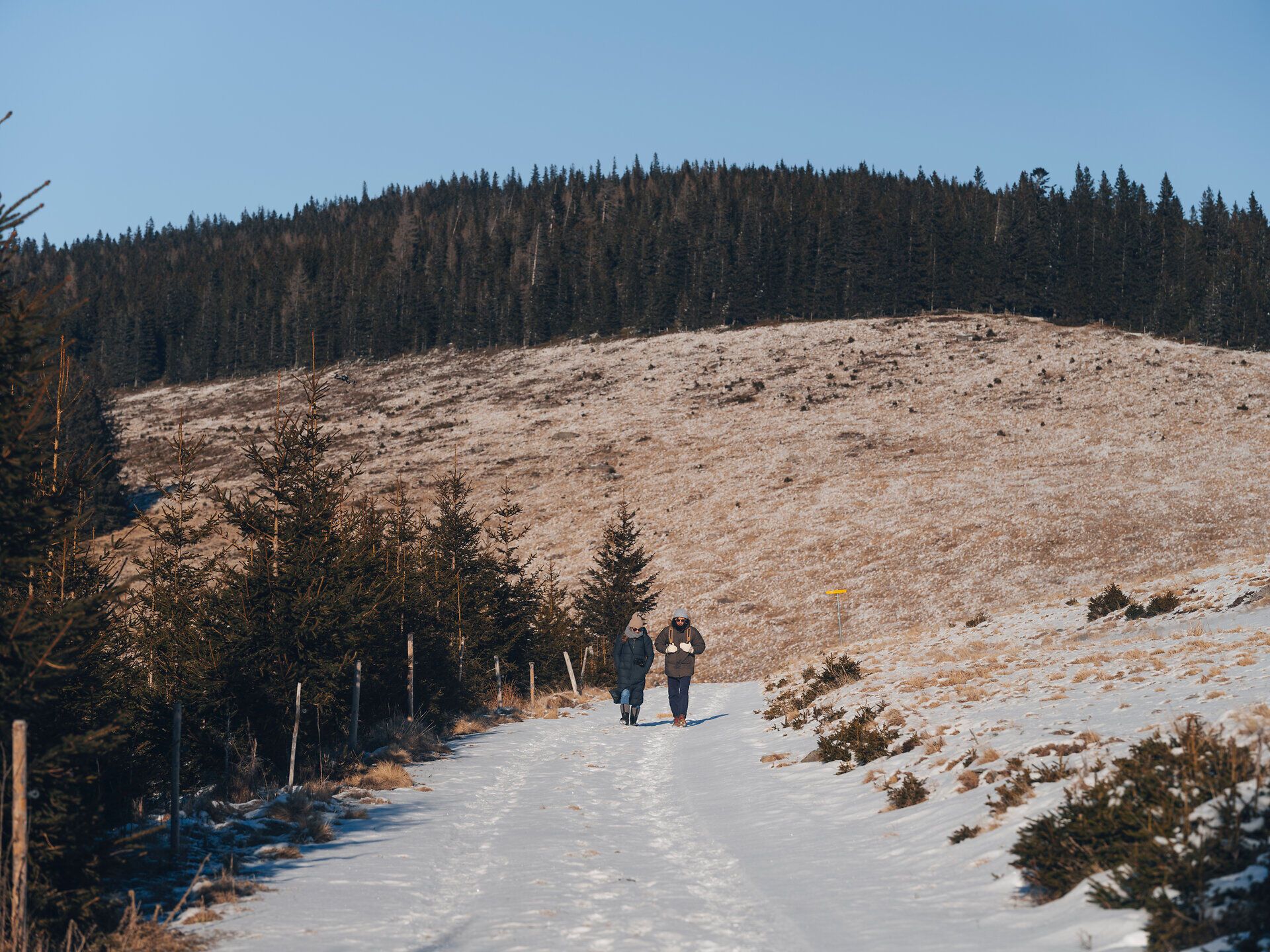 Zwei Wanderer genießen die klare Winterluft, während sie einen schneebedeckten Pfad entlang schlendern. Die majestätischen Wälder der Wiener Alpen umgeben sie und schaffen eine friedliche, winterliche Atmosphäre. Hier, in der Stille der Natur, wird jeder Schritt zu einem unvergesslichen Erlebnis.