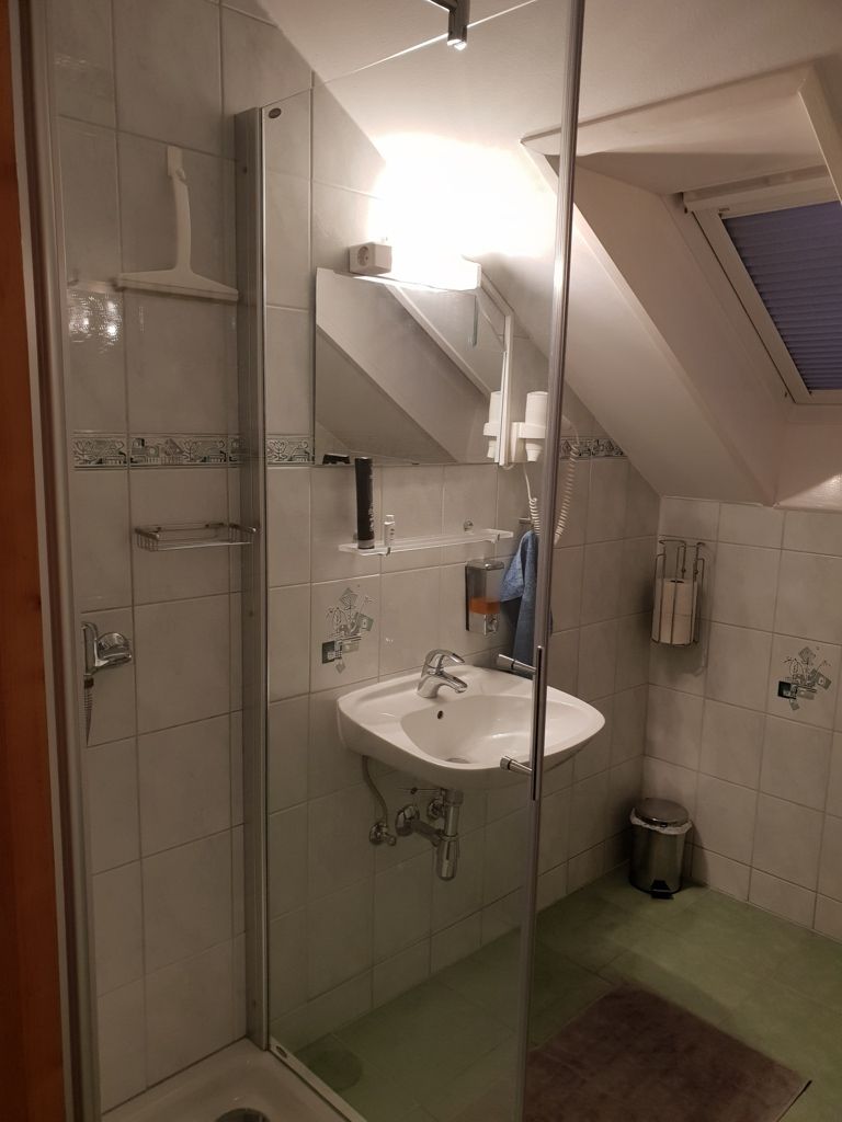 Ein Badezimmer mit Dusche, Waschbecken, Spiegel und Dachfenster.