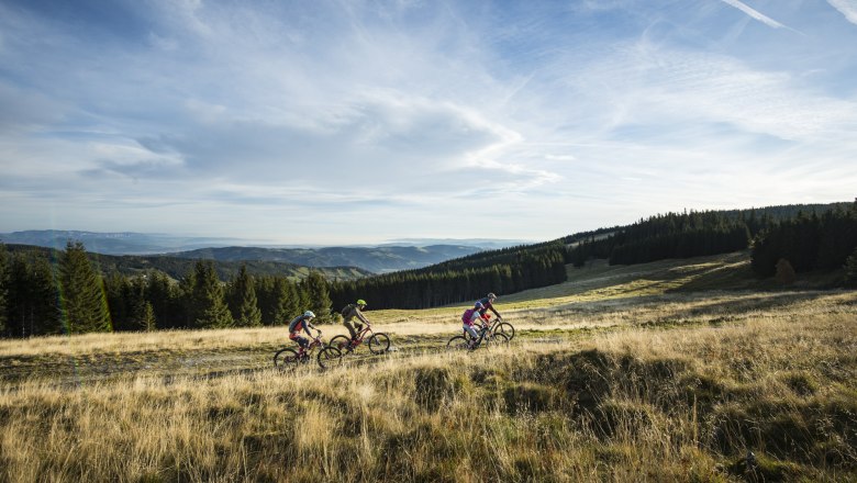 Mountainbiken auf den Schwaigen am Wechsel , © Wiener Alpen/Wexl Trails, Wexl Arena St. Corona 
