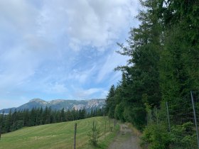 Wanderweg zur Speckbacherhütte, © Wiener Alpen in Niederösterreich