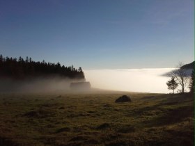 Die Talleitn im Morgennebel, &copy; Wiener Alpen in Nieder&ouml;sterreich - Schneeberg Hohe Wand