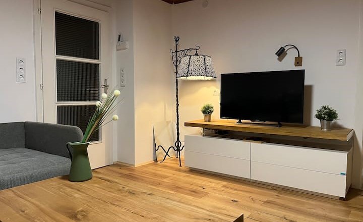 Modernes Wohnzimmer mit Holzboden, grauem Sofa, TV auf weißem Schrank, Stehlampe und Dekorationen.