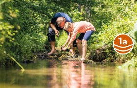 Szurdok t&uacute;ra kis 1a, &copy; Wiener Alpen in Nieder&ouml;sterreich - Schneeberg Hohe Wand