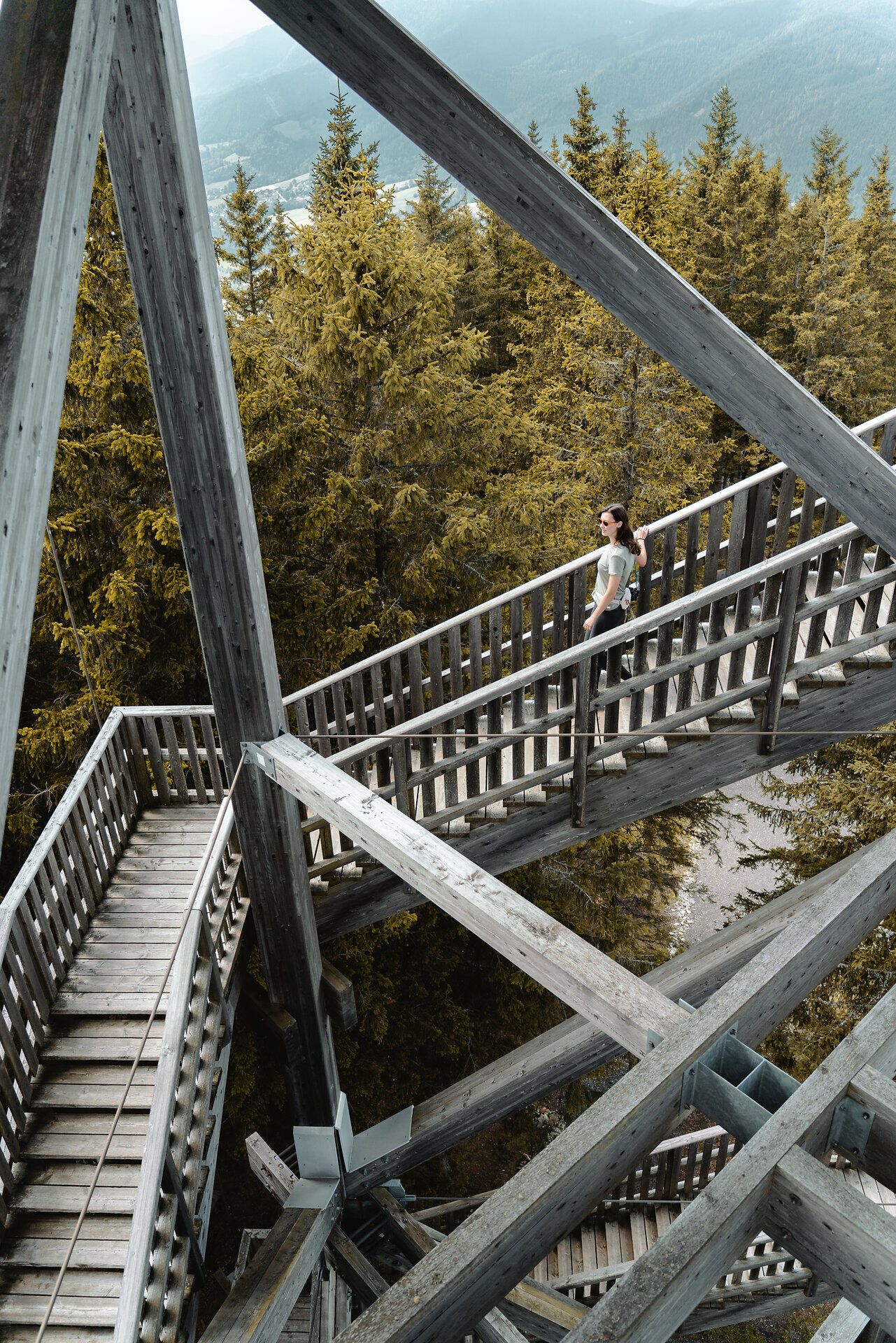 Come to LA Lower Austria, Hirschenkogel, Milleniumswarte, Wiener Alpen in Niederösterreich