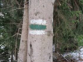 Baummarkierung nach St. Peter, &copy; Wiener Alpen in Nieder&ouml;sterreich - Wechsel