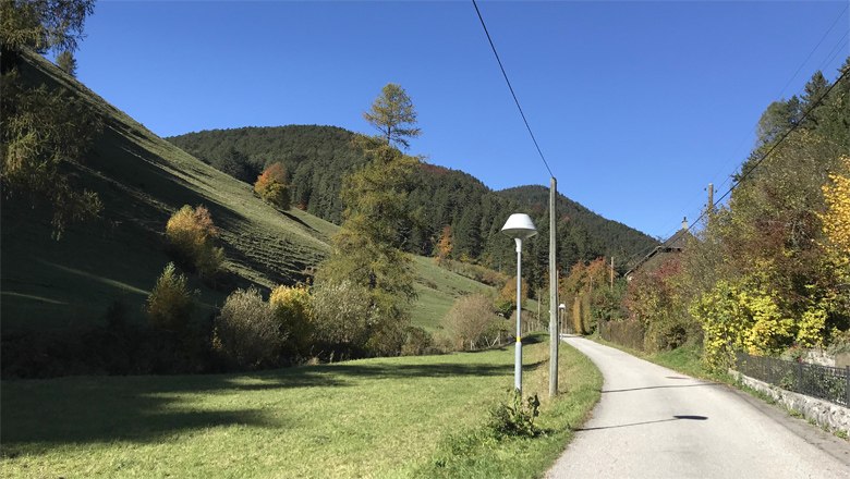 Ländliche Straße mit Laterne, umgeben von grünen Hügeln und Bäumen unter blauem Himmel.